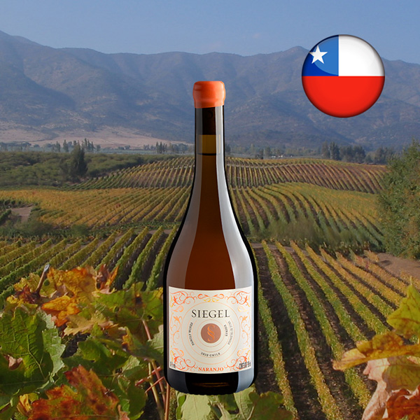 Siegel Naranjo Viognier Valle de Colchagua DO 2023 - Oferta