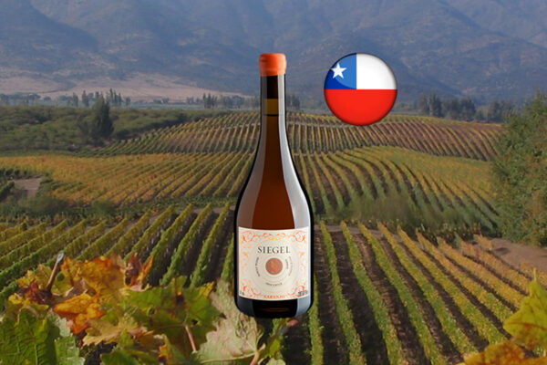 Siegel Naranjo Viognier Valle de Colchagua DO 2023 - Thumbnail