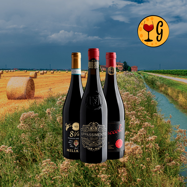 Kit 3 Vinhos Italianos Pontuados – A Essência da Itália em Sua Taça - Oferta