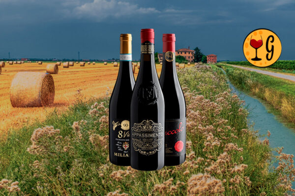 Kit 3 Vinhos Italianos Pontuados – A Essência da Itália em Sua Taça - Thumbnail