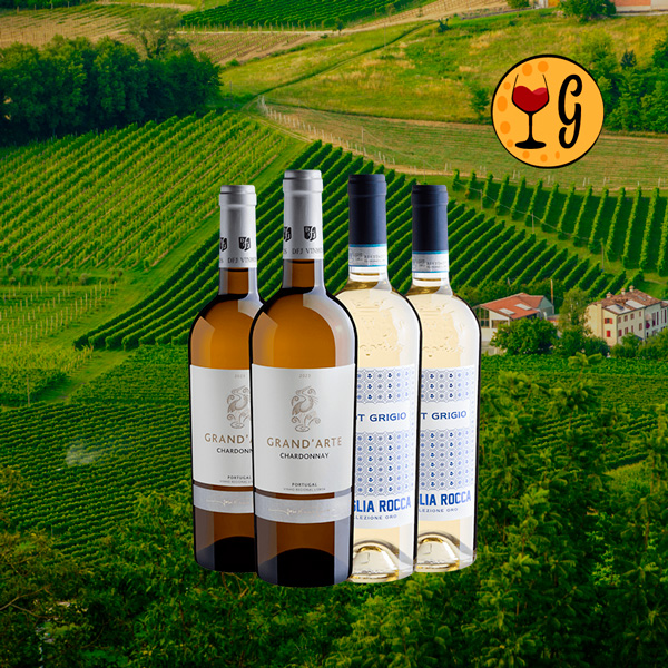 Kit Vinhos Brancos Premiados – A Seleção Exclusiva de Vinhos de Portugal e Itália 2023 - Oferta
