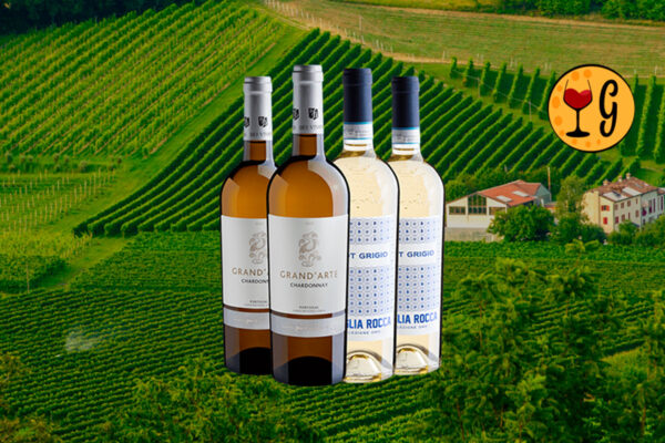 Kit Vinhos Brancos Premiados – A Seleção Exclusiva de Vinhos de Portugal e Itália 2023 - Thumbnail