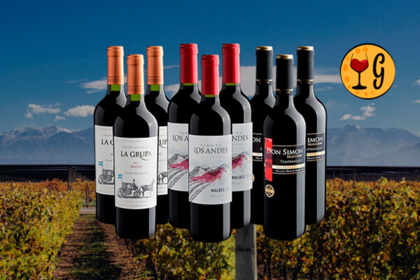Kit de Vinhos Best Sellers – Os Rótulos Mais Vendidos e Adorados em uma Seleção Exclusiva - Thumbnail
