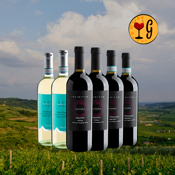 Kit de Vinhos Italianos Infinitum Primitivo, Montepulciano e Pinot Grigio – A Essência da Itália em Uma Experiência Única - Oferta