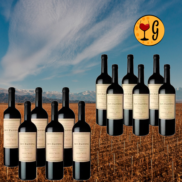 Kit 12 Vinhos DV Catena – A Excelência da Catena Zapata em Dois Rótulos Excepcionais - Oferta