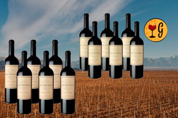 Kit 12 Vinhos DV Catena – A Excelencia da Catena Zapata em Dois Rotulos Excepcionais Thumbnail