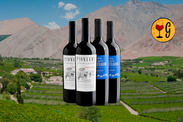 Kit 4 Vinhos Tintos Malbec e Cabernet – Qualidade Argentina e Chilena a Preço Imperdível - Thumbnail