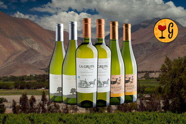 Kit 6 Chardonnays – Aventura Aromática da Argentina ao Chile por um Preço Imperdível