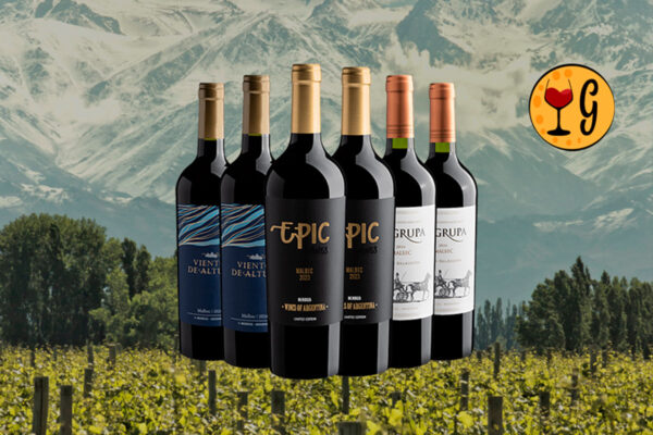 Kit 6 Malbecs Icônicos – Sexteto Argentino de Mendoza a Preço Especial - Thumbnail