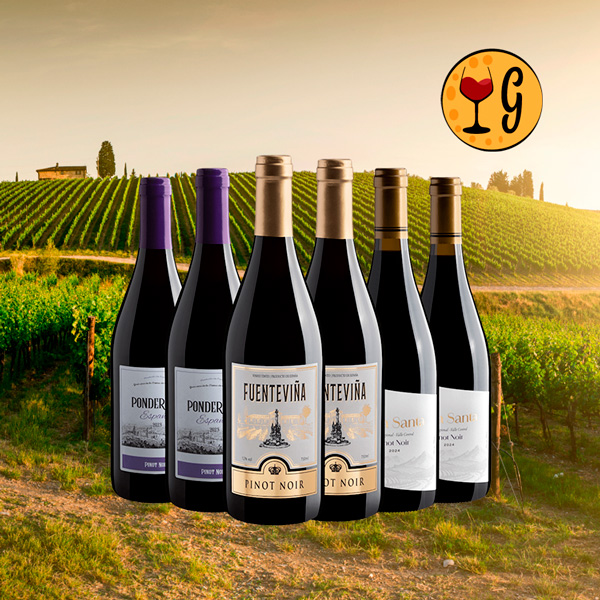 Kit 6 Vinhos Pinot Noir – A Porta de Entrada Perfeita para a Elegância do Vinho Tinto - Oferta