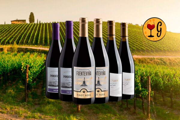Kit 6 Vinhos Pinot Noir – A Porta de Entrada Perfeita para a Elegância do Vinho Tinto - Thumbnail