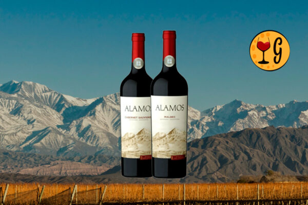 Kit Alamos Malbec e Cabernet Sauvignon – Duas Joias de Mendoza - Thumbnail