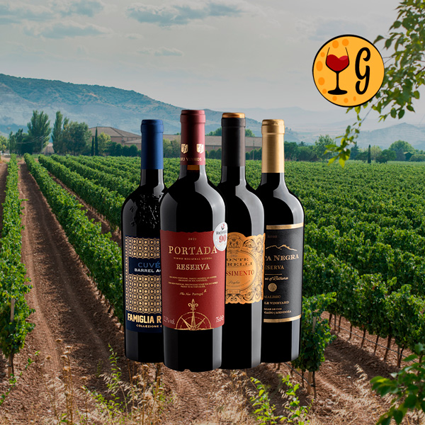 Kit Clássicos Premiados – 4 Vinhos Excepcionais por R$ 69,90 cada - Oferta