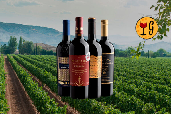 Kit Clássicos Premiados – 4 Vinhos Excepcionais por R$ 69,90 cada - Thumbnail