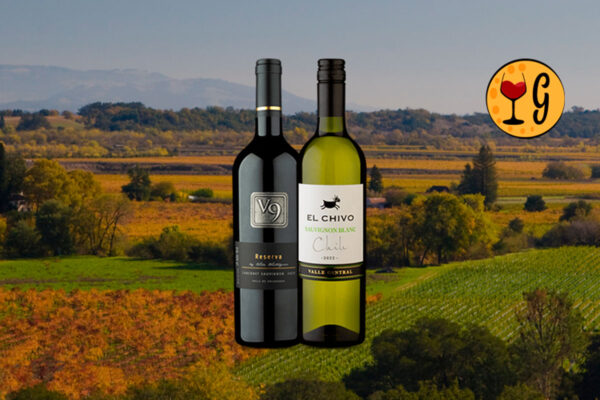 Kit Dois Vinhos Chilenos Irresistíveis – V9 Reserva Cabernet Sauvignon 2023 e El Chivo Sauvignon Blanc 2023 - Thumbnail