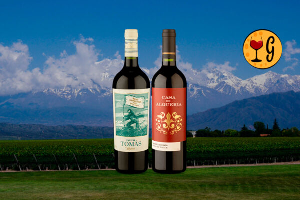 Kit Dois Vinhos Sul Americanos Acessíveis – Capitán Tomás Reserva Malbec Cabernet Franc 2022 e Casa de Alqueria DO Valle Central Cabernet Sauvignon 2024 - Thumbnail