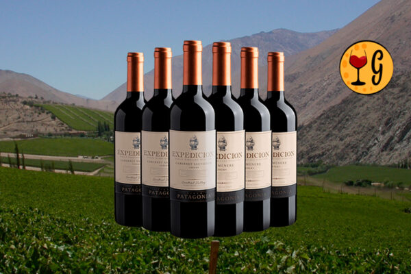 Kit Expedicion Cabernet Sauvignon e Carménère – A Dupla Imperdível de Vinhos Chilenos - Thumbnail