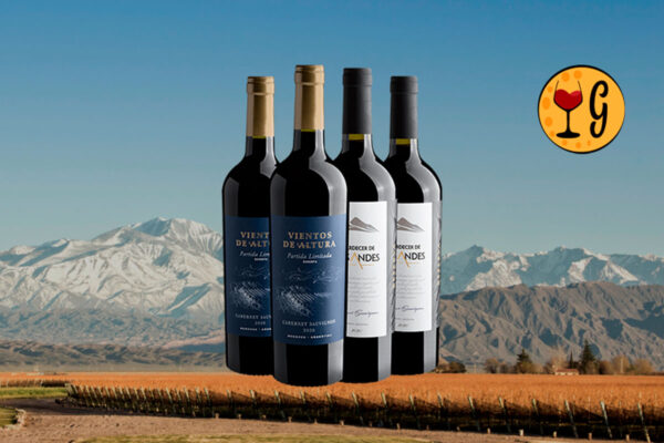 Kit Expressões do Cabernet – Duas Reservas de Cabernet Sauvignon em Carvalho a Preço Especial - Thumbnail