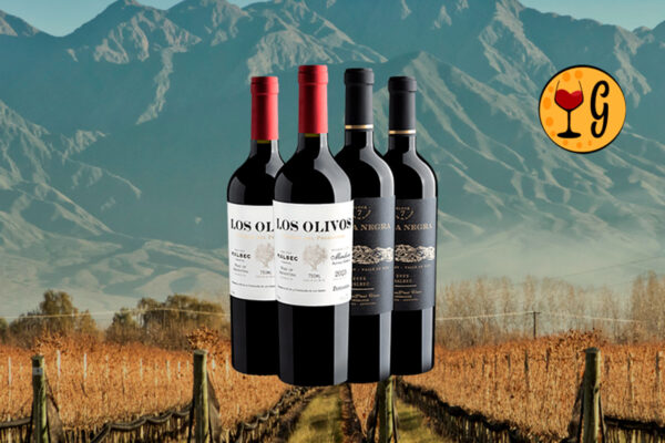 Kit Malbec Argentino Exclusivo – 2 Malbec de Mendoza, Duas Experiências Incomparáveis - Thumbnail