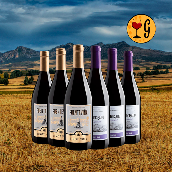 Kit Pinot Noir – Elegância e Custo-Benefício em Cada Taça - Oferta