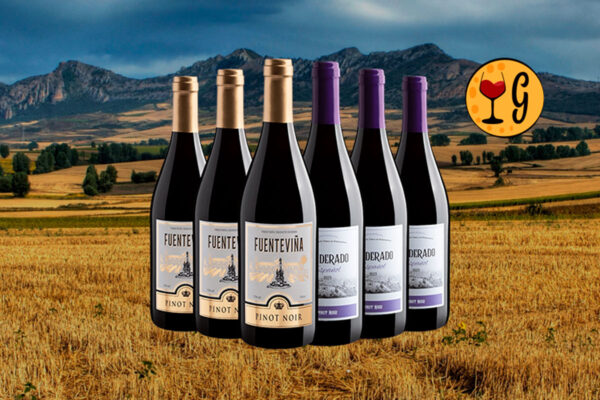 Kit Pinot Noir – Elegância e Custo-Benefício em Cada Taça - Thumbnail