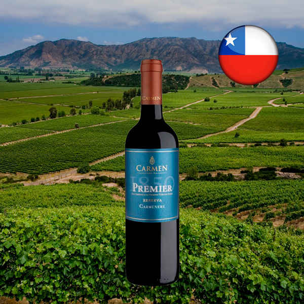 Carmen Premier 1850 Reserva Carménère 2020 - Oferta