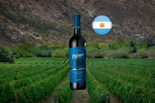 Colomé Malbec Auténtico 2021 - Thumbnail