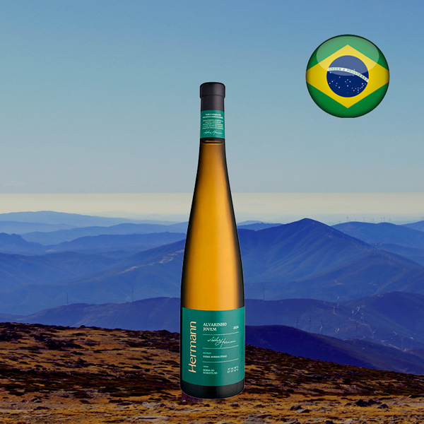 Hermann Alvarinho Jovem 2024 - Oferta