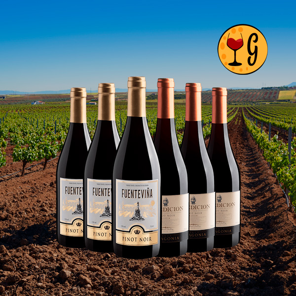 Kit 2 Pinot Noir – Elegância da Espanha & Aventura do Chile em Uma Só Seleção - Oferta