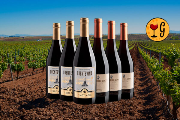Kit 2 Pinot Noir – Elegância da Espanha & Aventura do Chile em Uma Só Seleção - Thumbnail