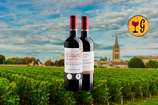 Kit 2 Tintos de Bordeaux Premiados – Duas Joias Francesas Medalhadas a Preço Especial - Thumbnail