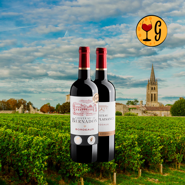 Kit 2 Tintos de Bordeaux Premiados – Duas Joias Francesas Medalhadas a Preço Especial - Oferta