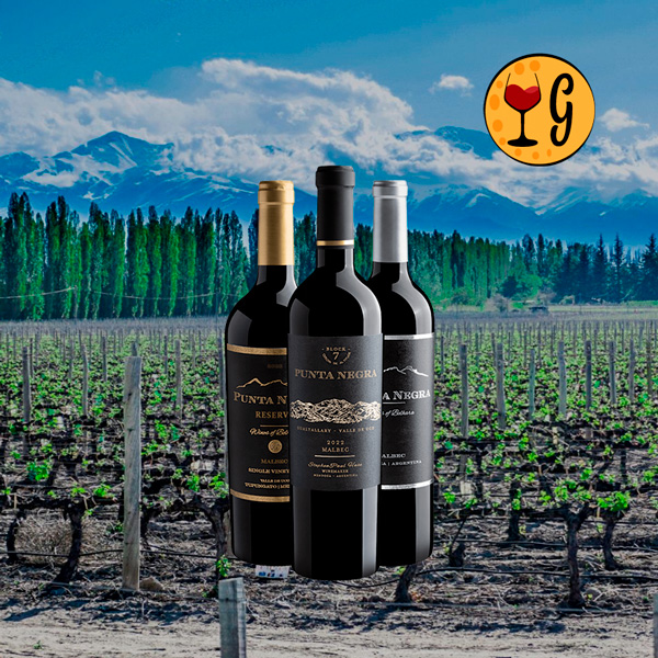 Kit 3 Malbecs Punta Negra – Sofisticação de Mendoza a Preço Exclusivo - Oferta