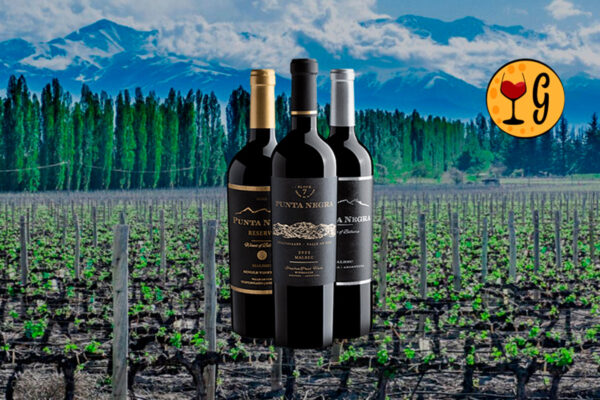 Kit 3 Malbecs Punta Negra – Sofisticação de Mendoza a Preço Exclusivo - Thumbnail