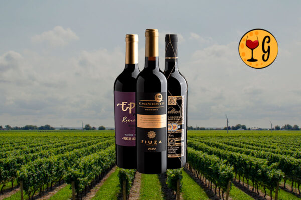 Kit 3 Reservas Best Sellers – Três Rótulos Consagrados por um Preço Imperdível - Thumbnail