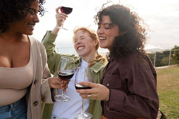 Kit 3 Vinhos Angélica Zapata – Três Rótulos Lendários - Brindando