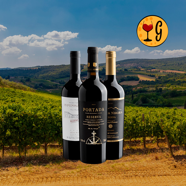 Kit 3 Vinhos Premium – Encontro do Velho e Novo Mundo - Oferta