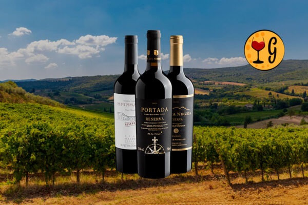 Kit 3 Vinhos Premium – Encontro do Velho e Novo Mundo - Thumbnail