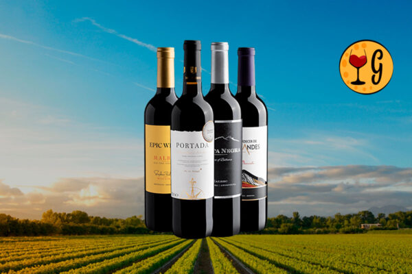 Kit 4 Medalhistas de Ouro – 4 Vinhos Premiados por R$39,90 cada garrafa - Thumbnail