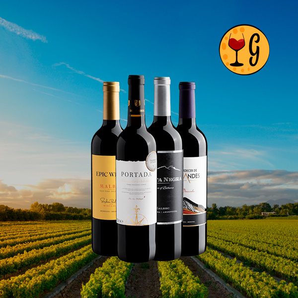 Kit 4 Medalhistas de Ouro – 4 Vinhos Premiados por R$39,90 cada garrafa - Oferta