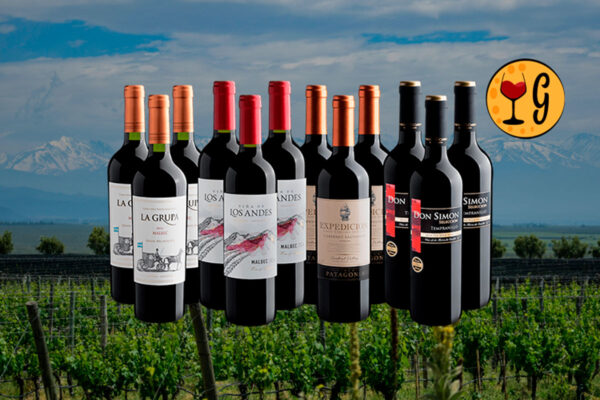 Kit 4 Vinhos Mais Vendidos – Rótulos Consagrados a Preço Imbatível - Thumbnail