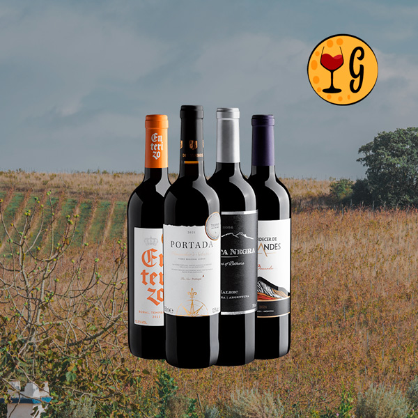 Kit 4 Vinhos com Medalhas de Ouro – 4 Rótulos Premiados por R$39,90 cada - Oferta