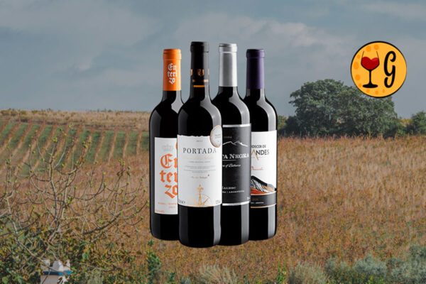 Kit 4 Vinhos com Medalhas de Ouro – 4 Rótulos Premiados por R$39,90 cada - Thumbnail