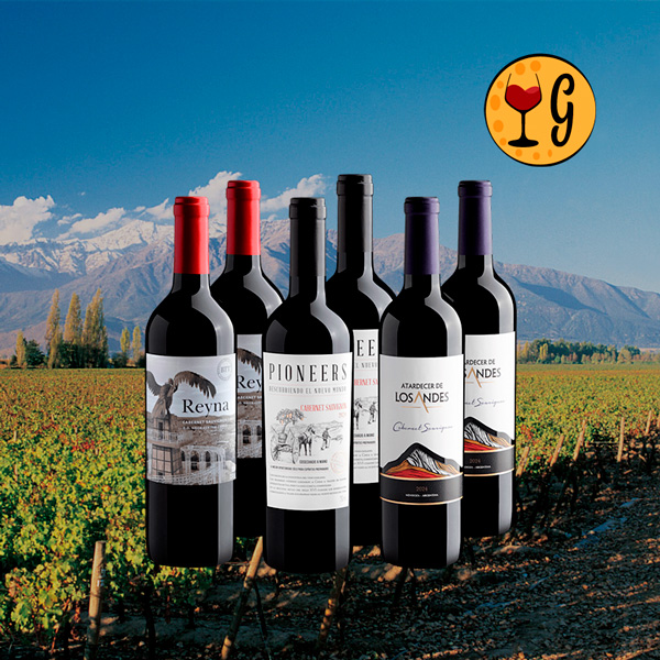Kit 6 Cabernets – Sabores do Chile e da Argentina a Preço Imperdível - Oferta