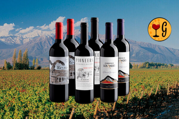 Kit 6 Cabernets – Sabores do Chile e da Argentina a Preço Imperdível - Thumbnail