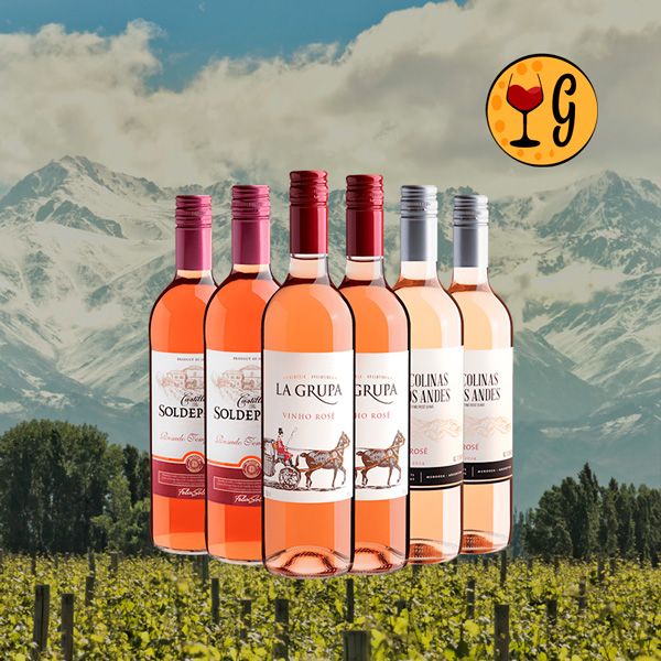 Kit 6 Rosés – Curadoria Argentina e Espanhola para Momentos Leves e Descontraídos - Oferta