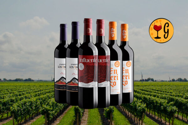 Kit 6 Vinhos Internacionais – Portugal, Espanha e Argentina a Preço Imperdível - Thumbnail