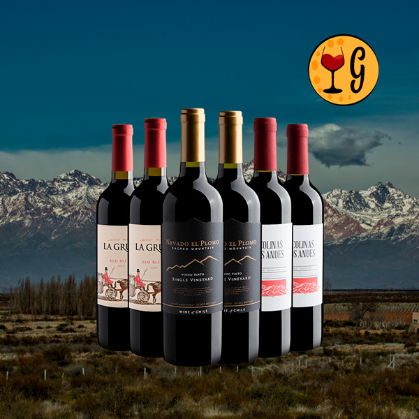 Kit 6 Vinhos do Novo Mundo – Chile e Argentina a Preço Imperdível - Oferta