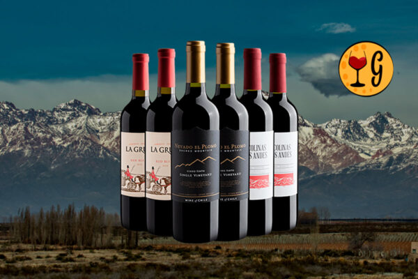 Kit 6 Vinhos do Novo Mundo – Chile e Argentina a Preço Imperdível - Thumbnail