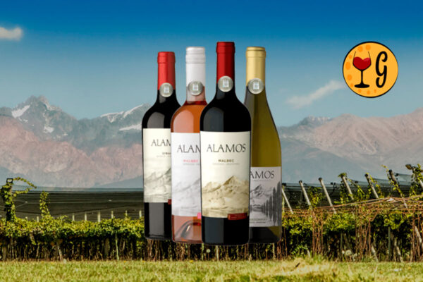 Kit Alamos para Degustar e Meditar – Quatro Vinhos Argentinos para Saborear com Tranquilidade e Reflexão - Thumbnail